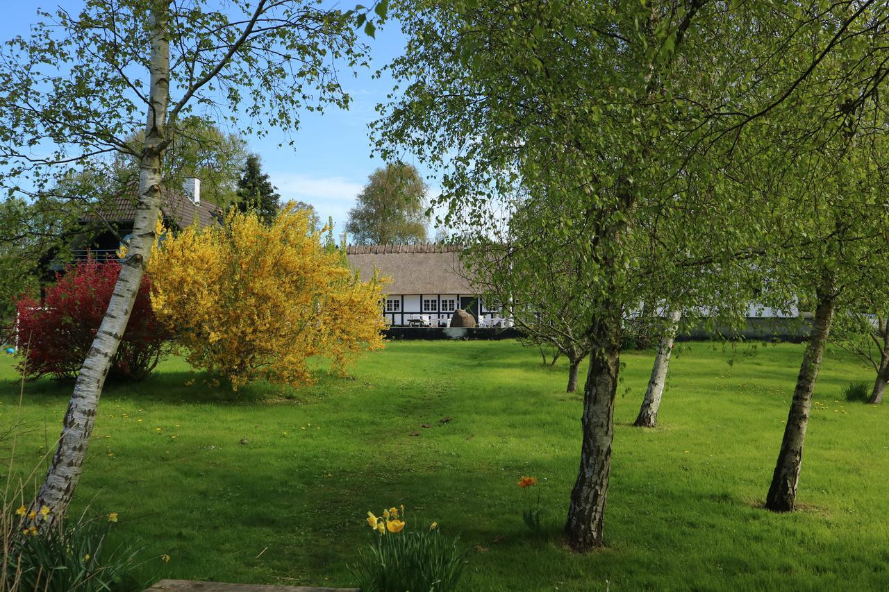 Birkelygaard Bed & Breakfast Hårby Exterior foto